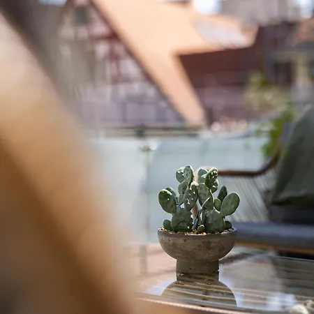 Apartment C29 Penthouse - Direkt In Der Altstadt Mit Dachterrasse Und Parkplatz